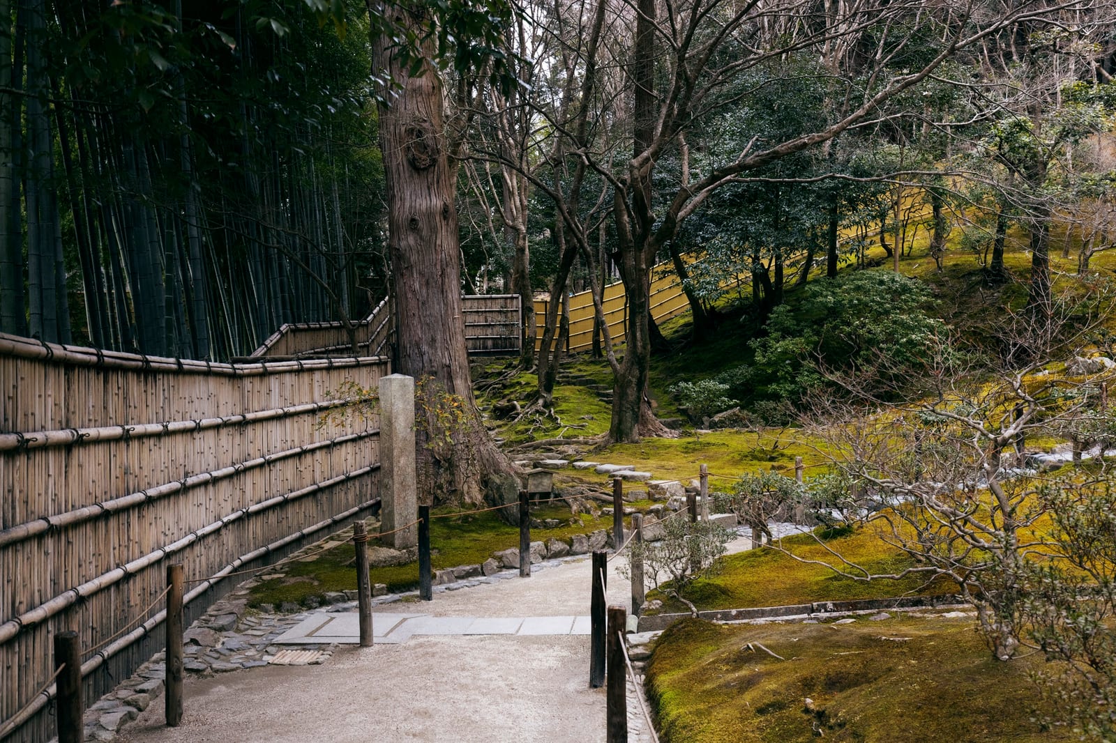 ガラス張りのビルと看板が並ぶ、静かなオフィス街の通り。
