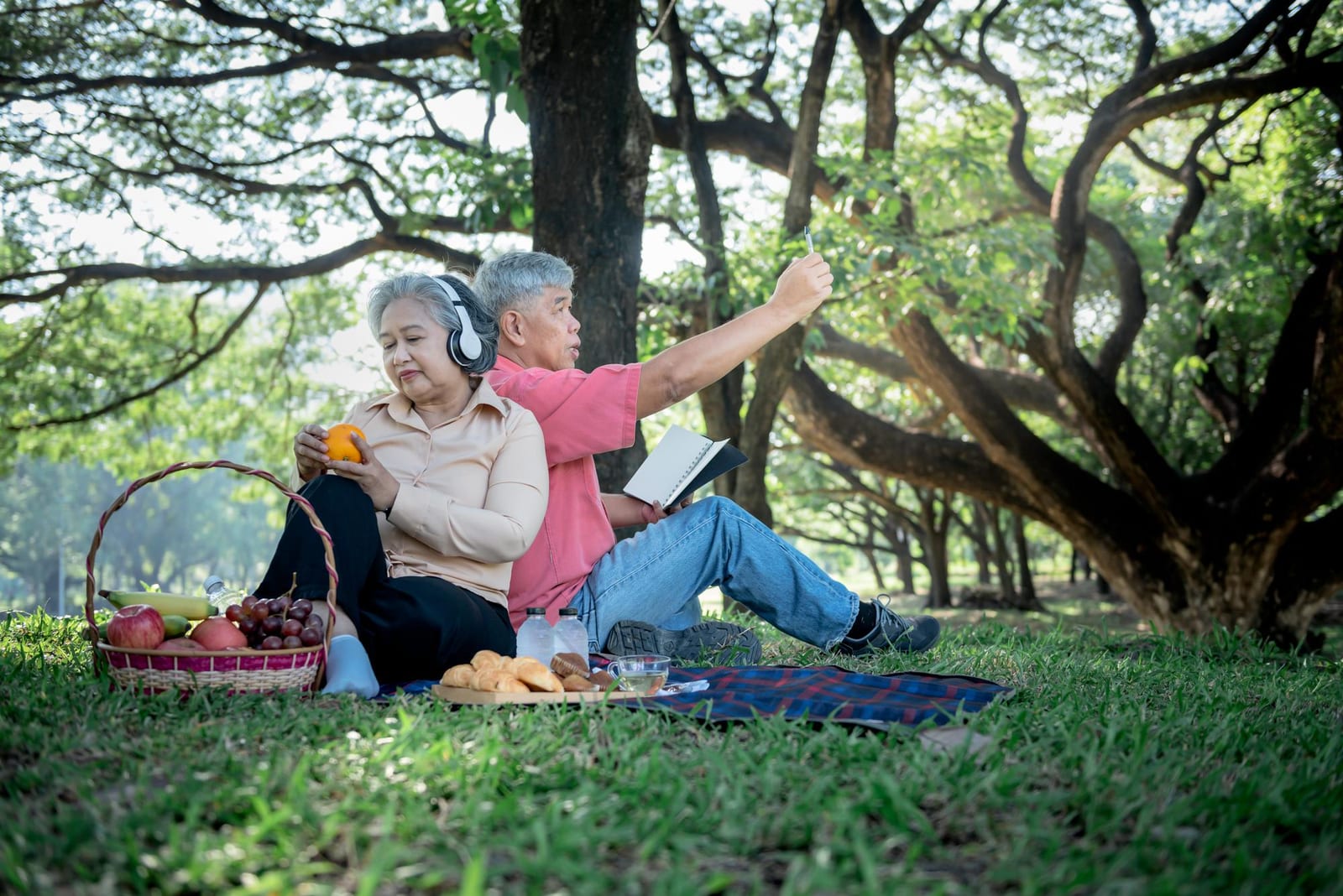 公園のピクニックシートに背中合わせで座る年配の二人連れ。一人は本を読み、一人は写真を撮っている。